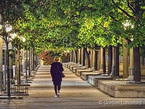 Along MacKenzie Avenue_17283.jpg - Photographed at Ottawa, Ontario, Canada.